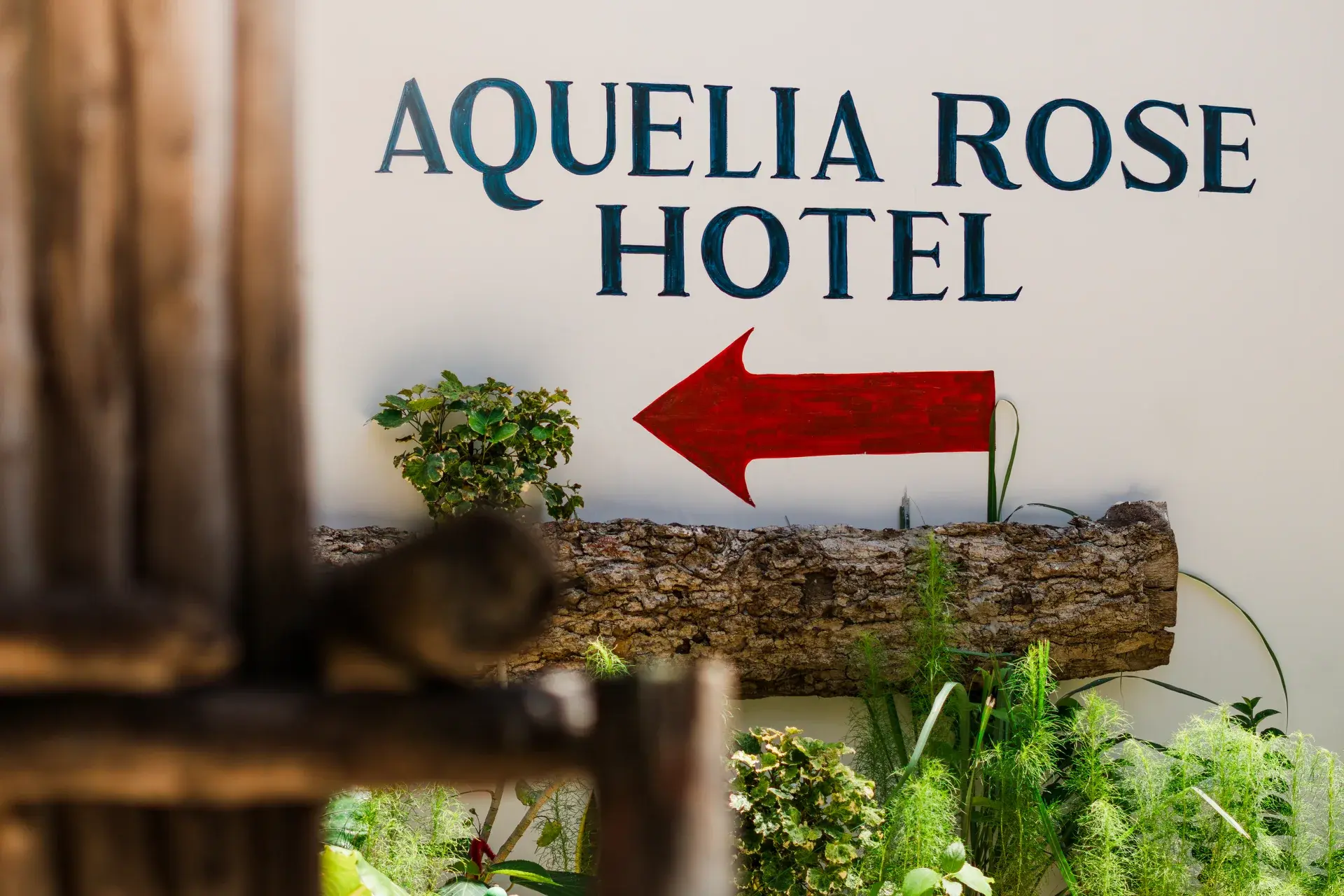 Aquelia Rose Hotel