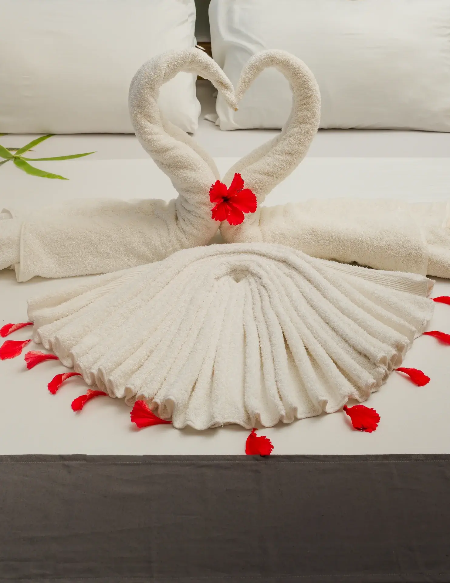 Aquelia Rose Hotel